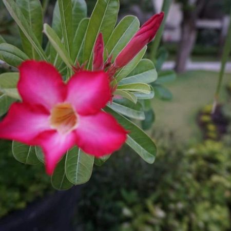 Ruby Nusa Dua  Eksteriør billede